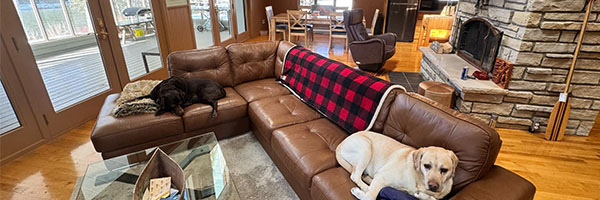 Cozy Lodge